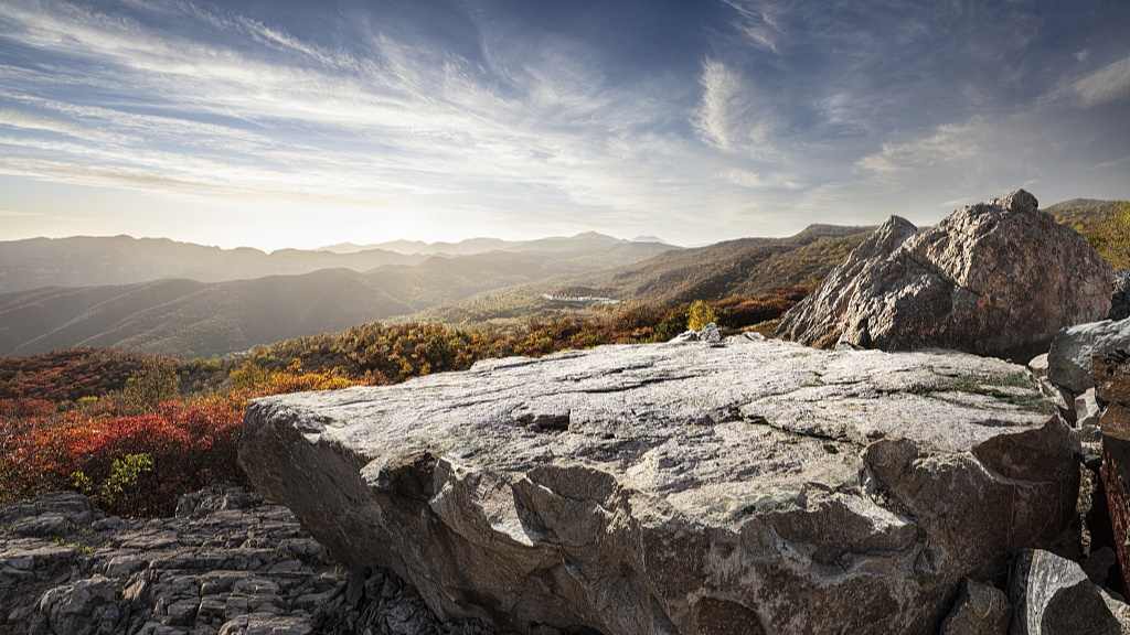 微山湖畔：精美的石头会唱歌（走进乡土中国） - 光踪暖行