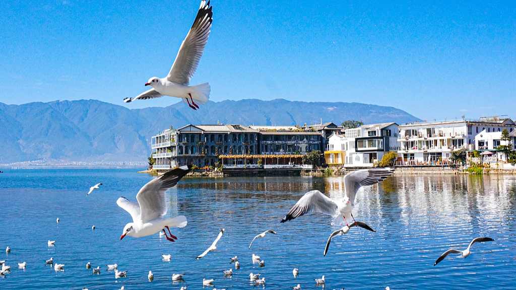 云南：到今年年底 云南旅居人数将达380万人 - 光踪暖行