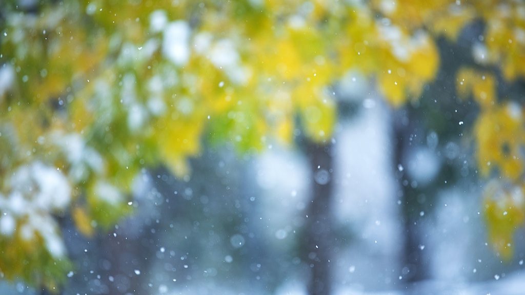 文化中国行・诗意节令｜小雪：晚来天欲雪，能饮一杯无？ - 光踪暖行