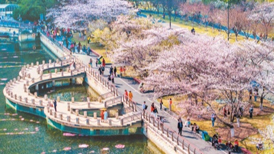 各地纷纷推进春日经济――不负好春光 深度游一场 - 辰飞雨光踪暖行旅游资讯