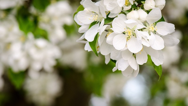 “微度假”走热 成假日消费新时尚 - 光踪暖行