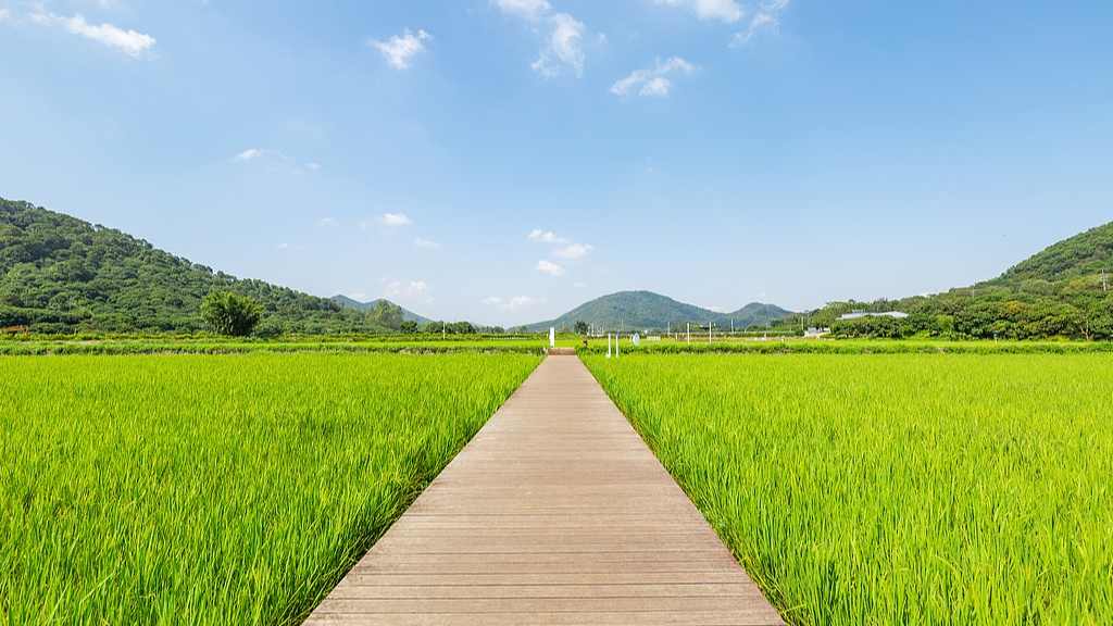 “五一”假期重识家乡成热潮 文旅“乡愁”中迎新机 - 光踪暖行