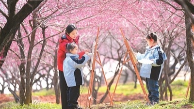 春天里的中国欣欣向荣 - 光踪暖行