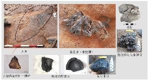 2024年度全国十大考古新发现结果公布(图1) 2024年度全国十大考古新发现结果公布(图1)