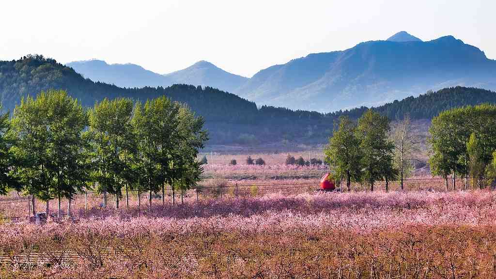 现代艺术与古老村庄的相拥――艺术乡建中的青年人 - 光踪暖行