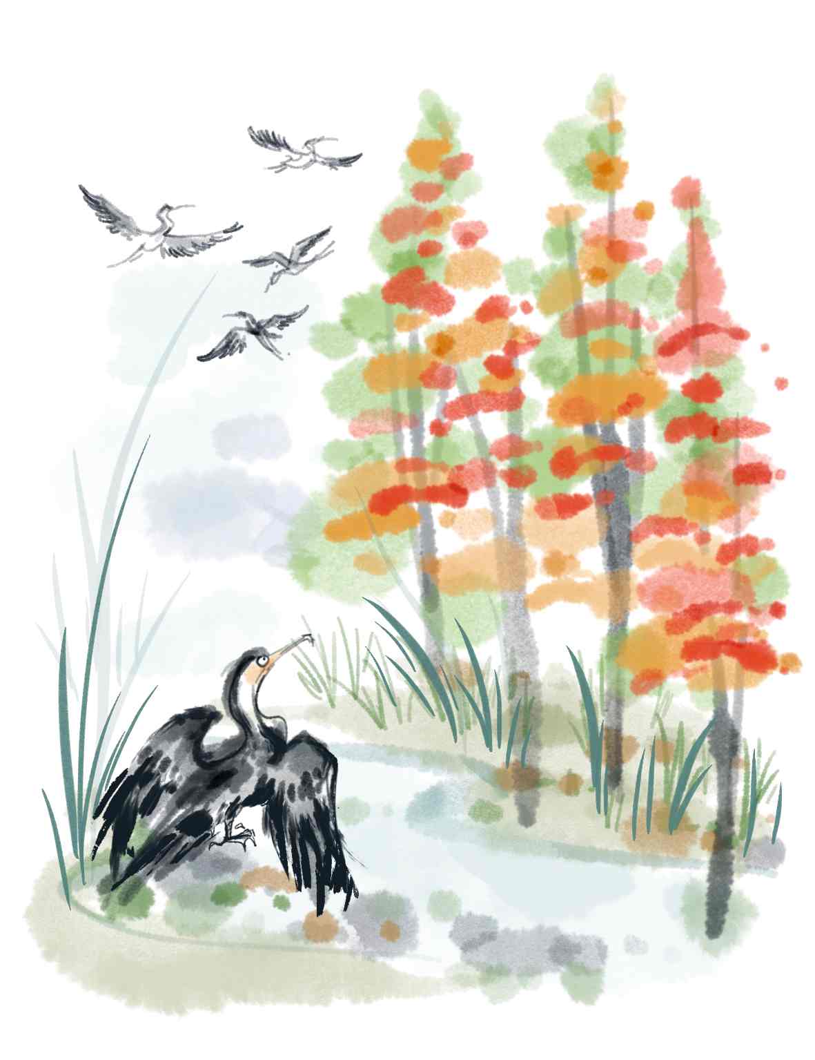 鹭岛寻冬 - 光踪暖行