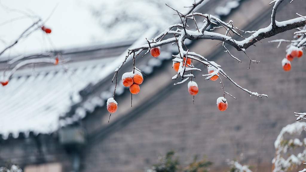 节令之美｜7日6时20分立冬：昨夜清霜冷絮�n，纷纷红叶满阶头 - 光踪暖行