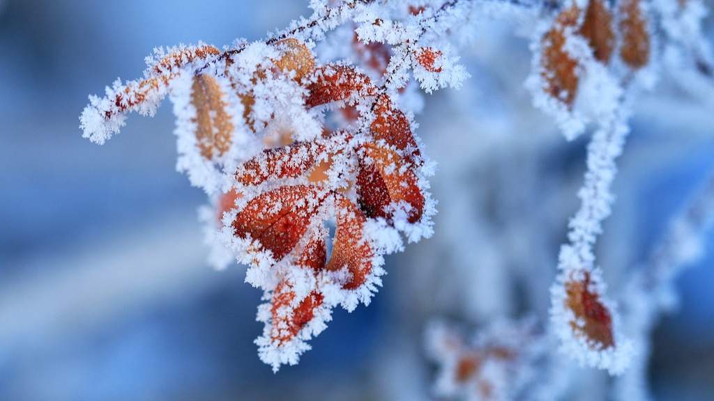 光明文化周末：立冬 - 光踪暖行