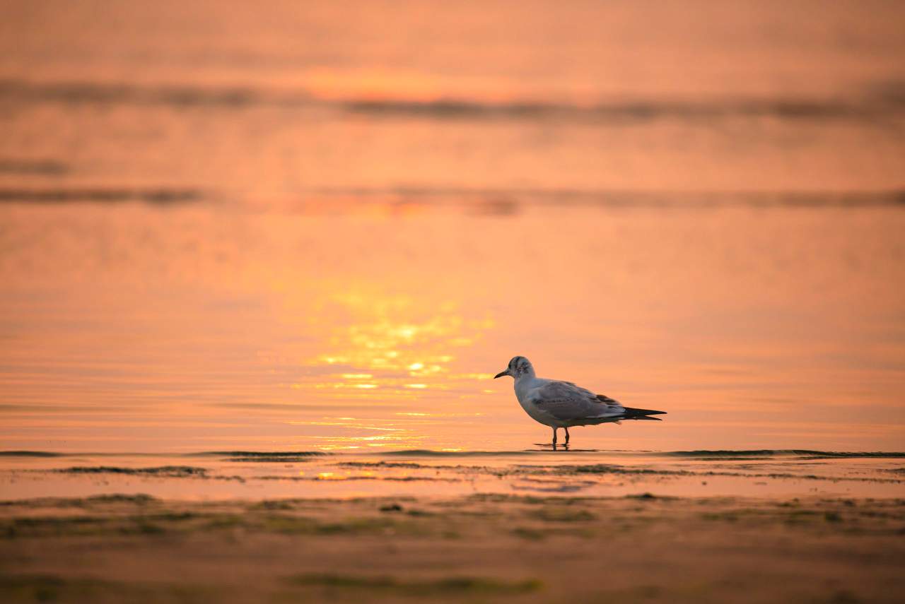 海风中的全福楼 - 光踪暖行