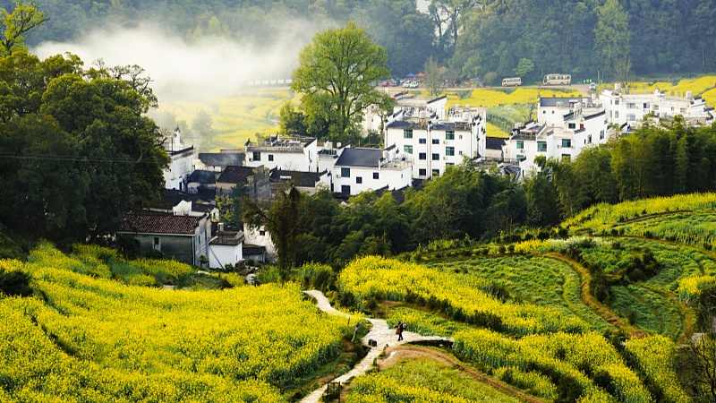 植入新玩法营造慢生活 乡村文旅业态版图更大 - 光踪暖行