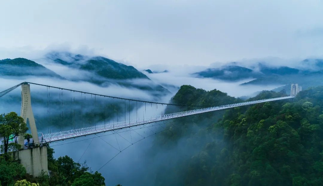 三百山发现多种珍稀野生动物 - 辰飞雨光踪暖行旅游资讯