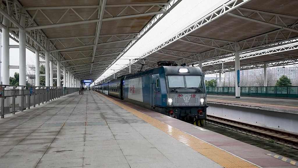 转给爸妈！快搭乘这趟开往春天的“银发列车” - 光踪暖行