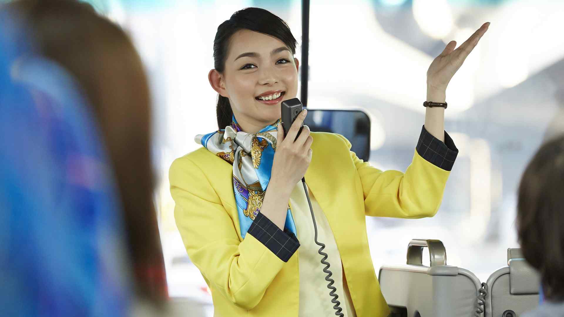 2025版电子导游证及导游身份标识卡将于6月30日启用 - 辰飞雨光踪暖行旅游资讯