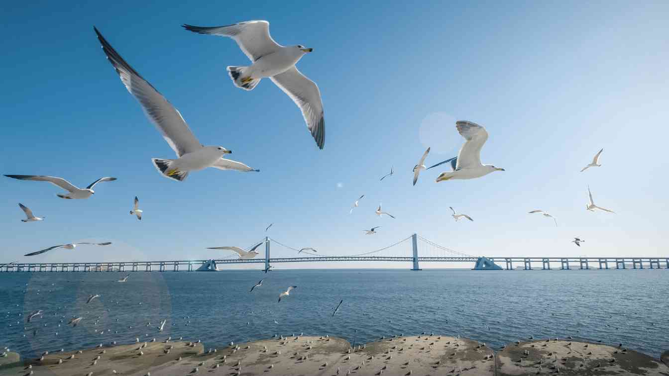 7月起离境退税政策实施新增大连市、湖北省 - 光踪暖行