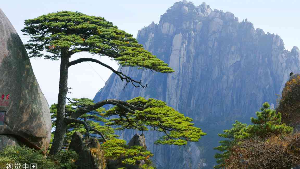 文化和旅游部组织开展第二批文旅领域安全隐患暗访抽查 - 光踪暖行