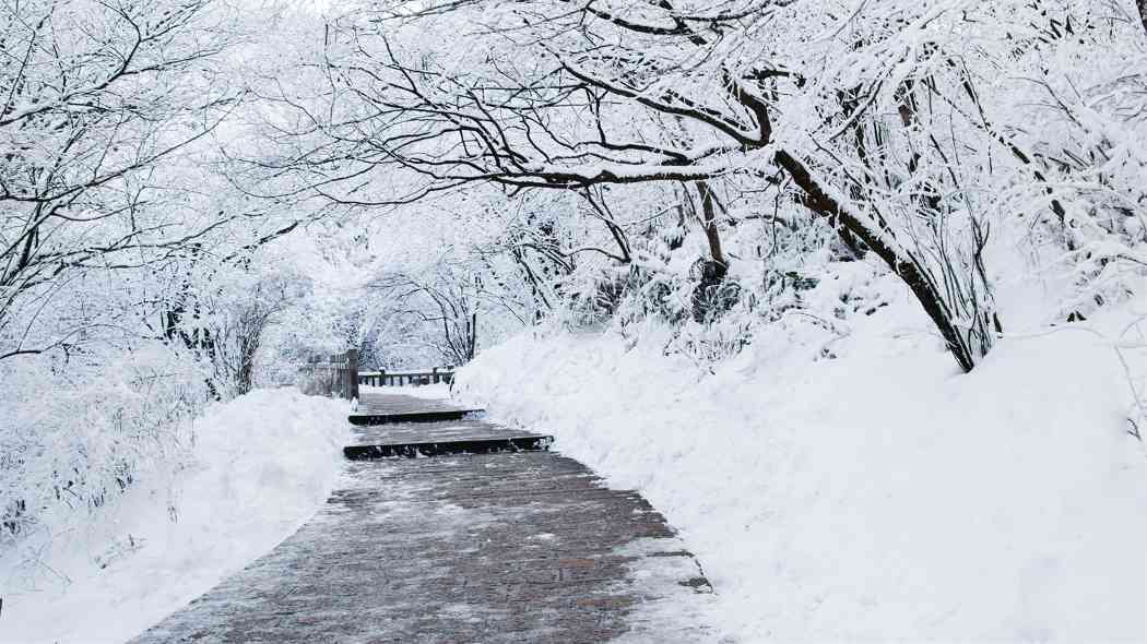大雪 - 光踪暖行