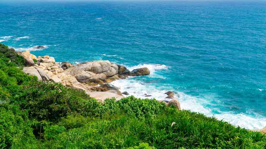 洞头读贝雕 - 光踪暖行