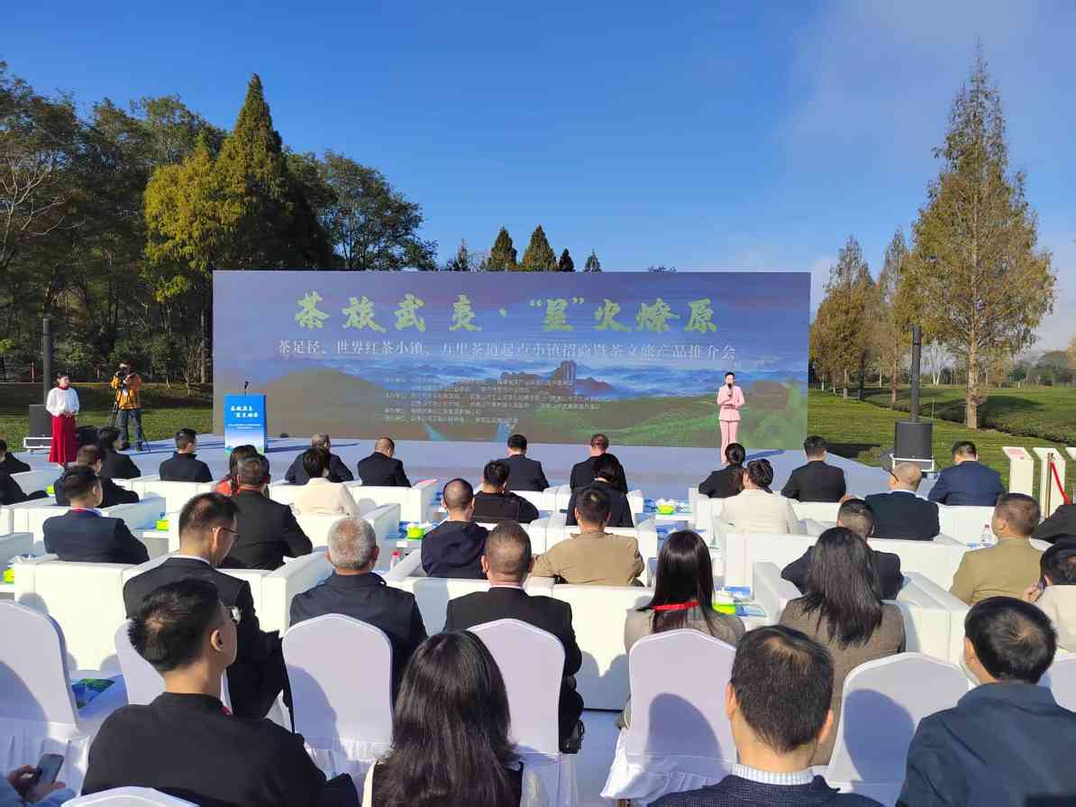 福建武夷山开展茶文旅产品推介和项目招商 - 光踪暖行