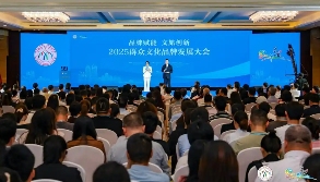 2025中国群众文化品牌典型案例发布 - 光踪暖行