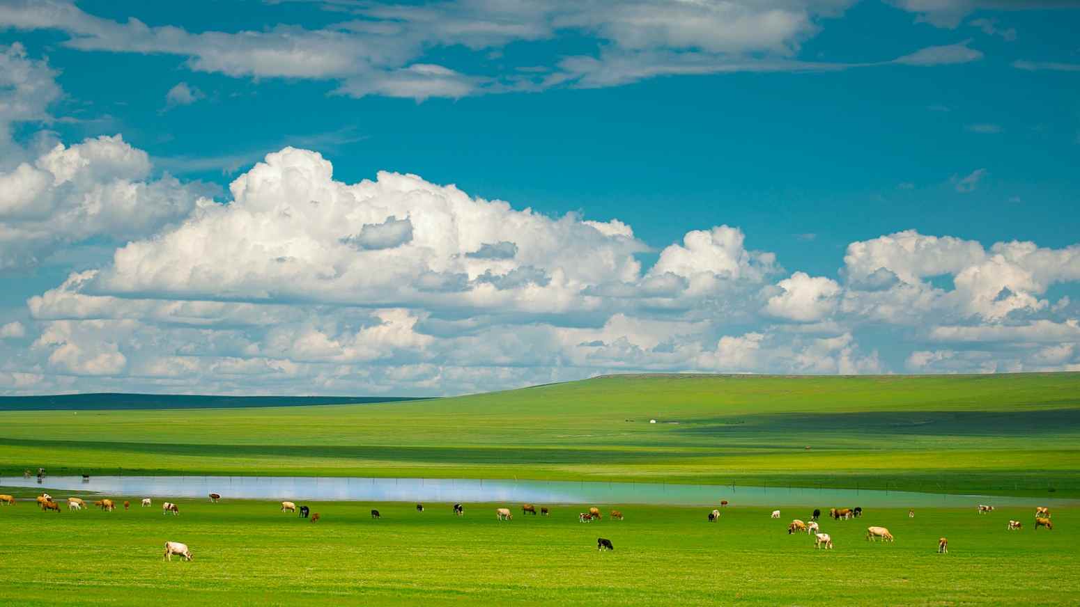 内蒙古发布新一批自治区级旅游品牌 - 光踪暖行