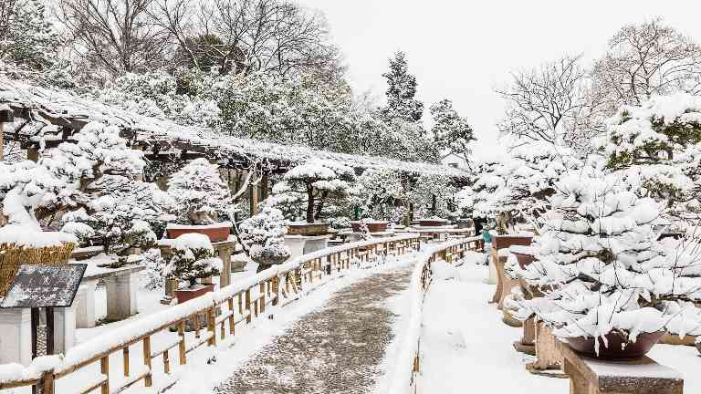 多元业态解锁消费新体验 冬季文旅市场焕发新活力 - 光踪暖行