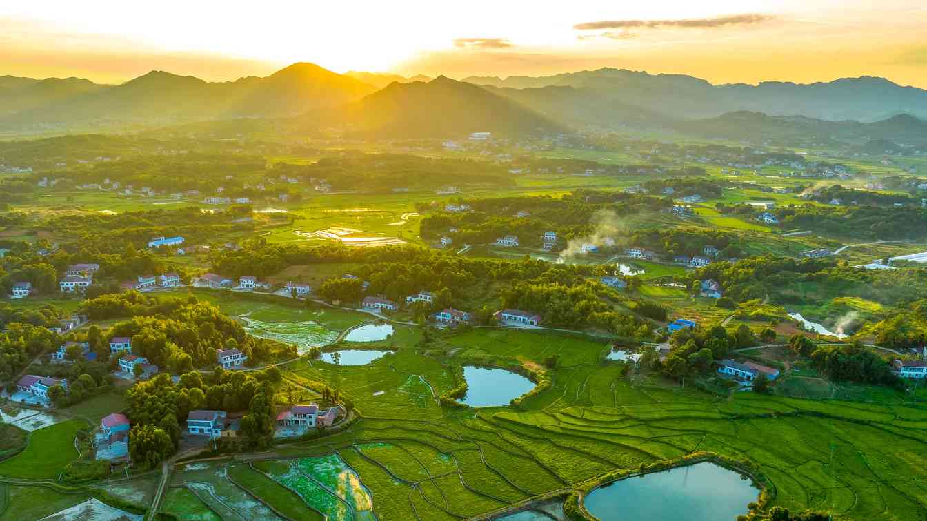 年终话“三农”丨岁稔年丰 乡村和美――2025，共绘乡村振兴新“丰”景 - 光踪暖行