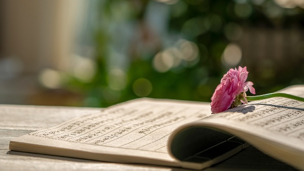 三个视角看文化出海 - 光踪暖行