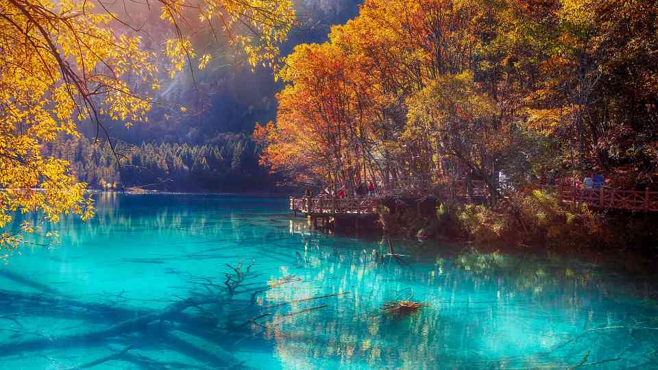 突破600万！九寨沟游客接待量创40年新高 - 光踪暖行