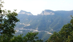 重阳茱萸红 - 光踪暖行