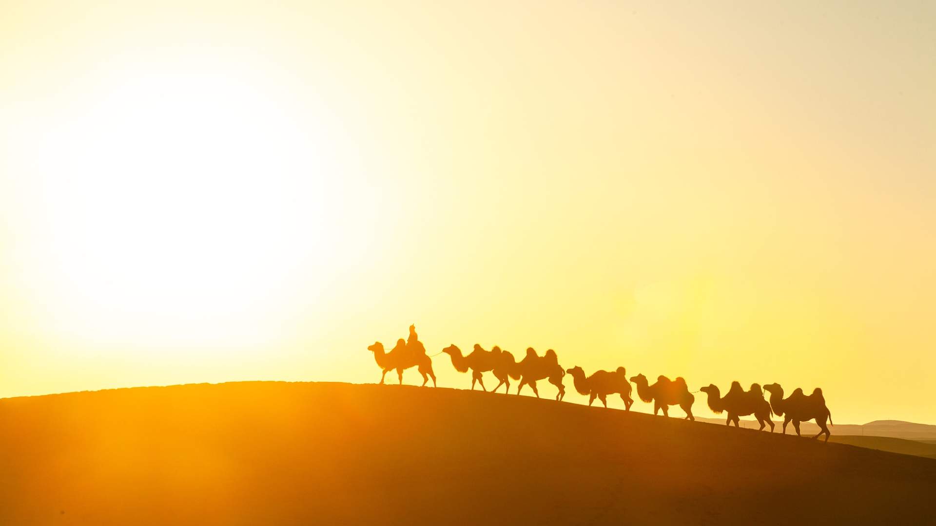 丝路联通世界 文旅合作共赢 - 光踪暖行