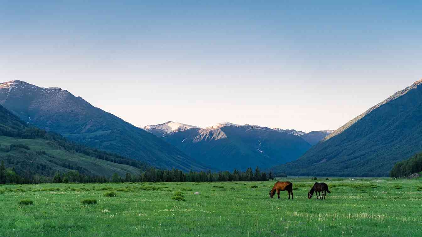 超200万人次双节畅游阿勒泰 - 光踪暖行