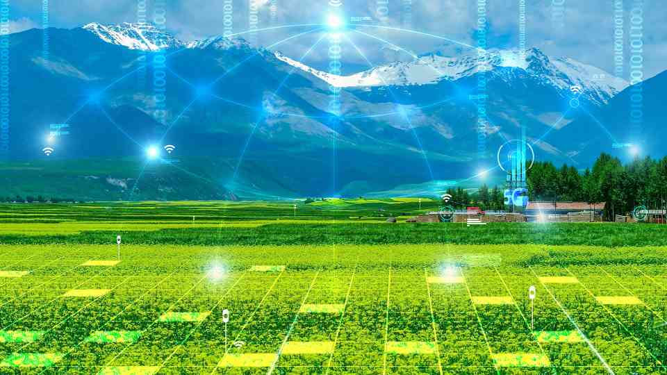 新华视点丨“科技游”持续升温，如何开辟文旅新蓝海？ - 光踪暖行