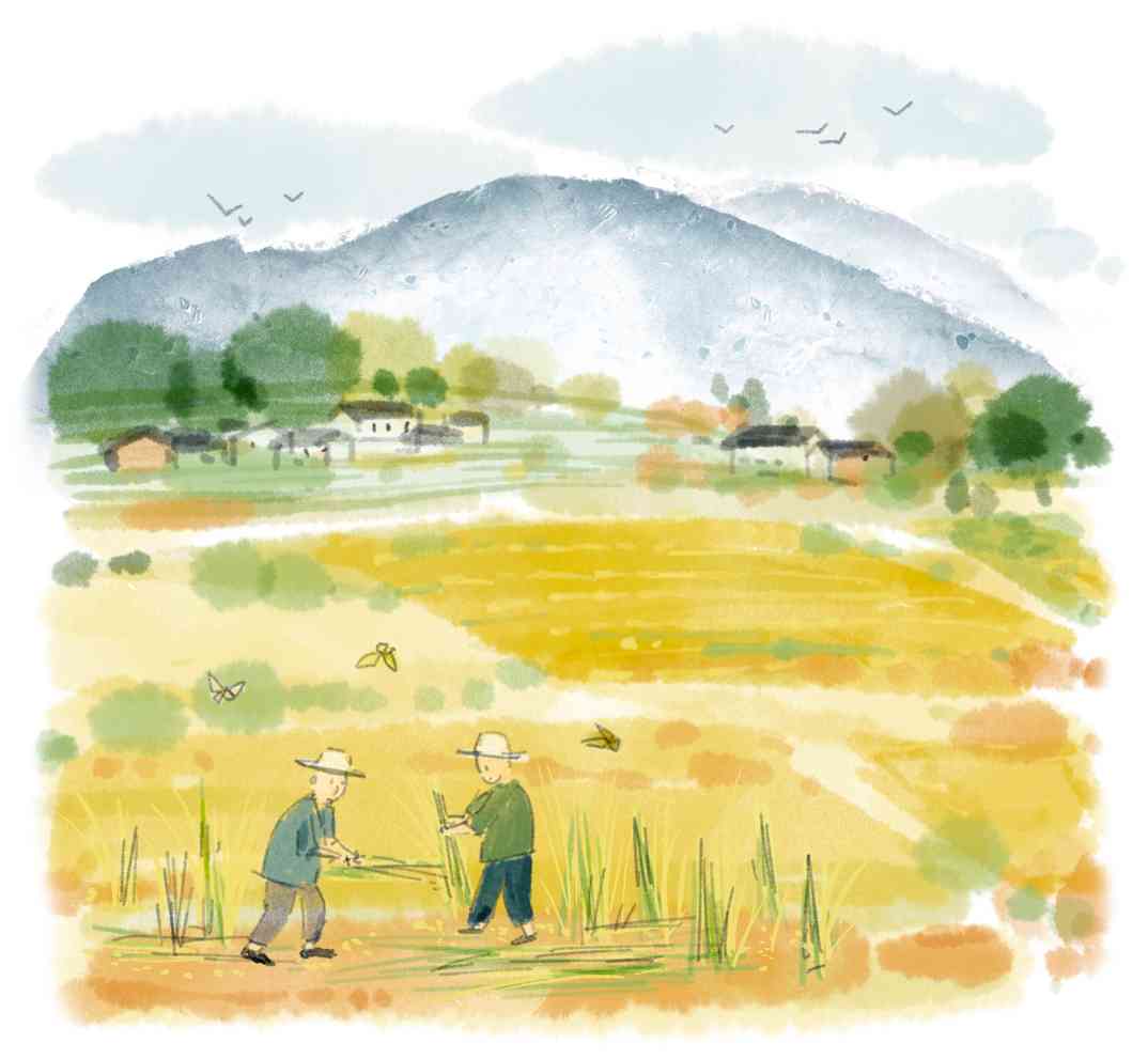 游廖家村镇(图1) 游廖家村镇(图1)