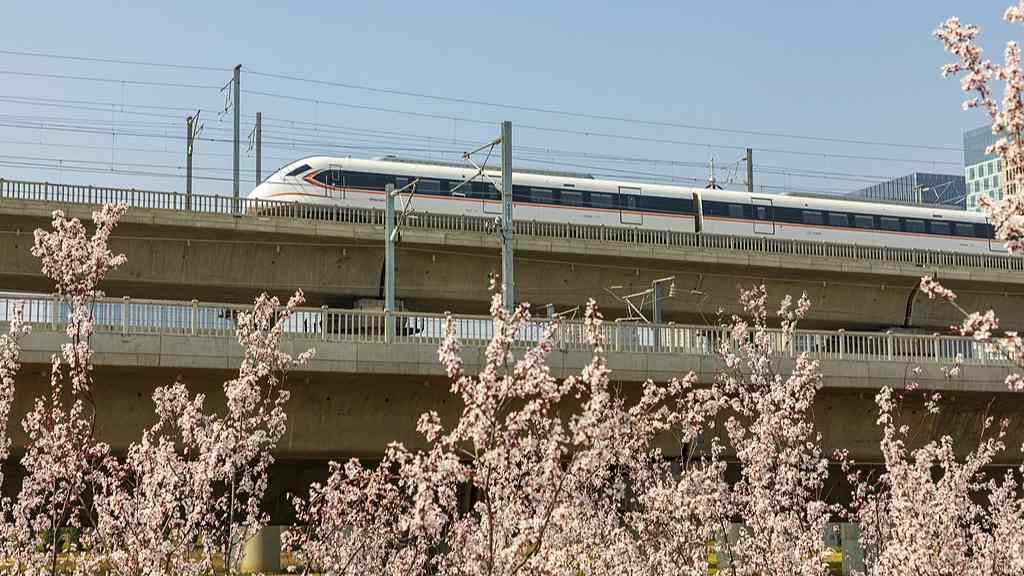 赏花经济：文旅融合下的产业升级新图景 - 光踪暖行