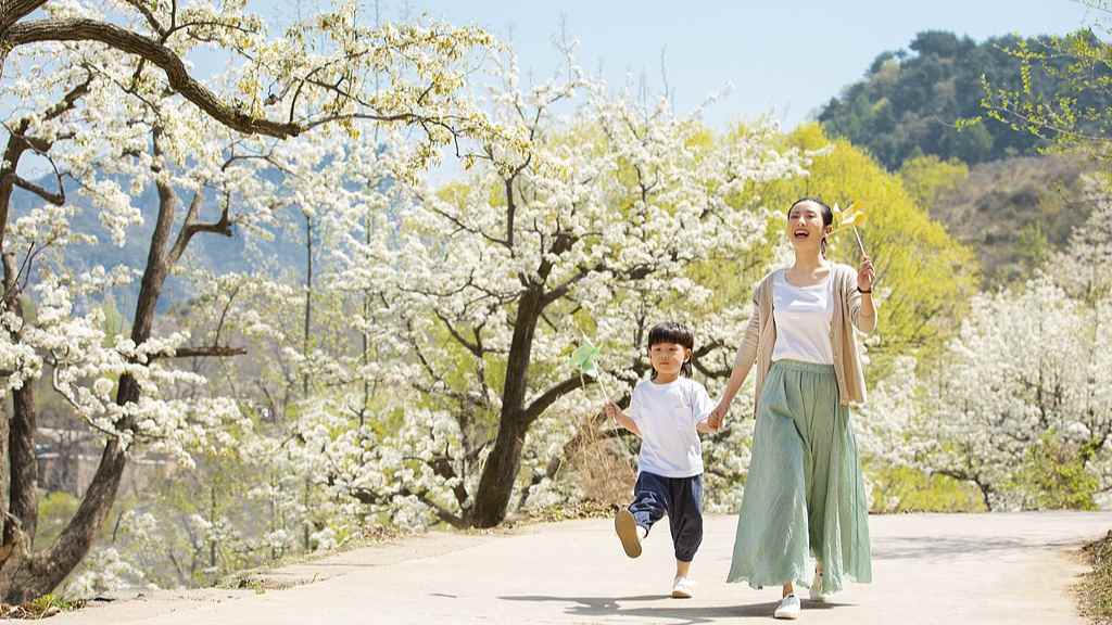 全国花式赏樱地图来了！十大胜地解锁春日赏花 - 光踪暖行