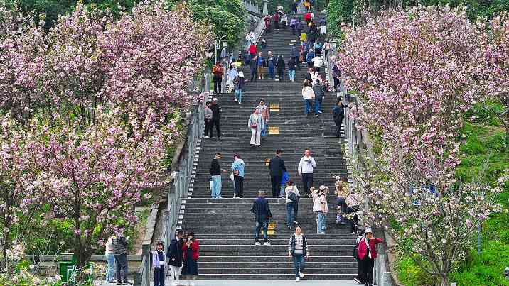 文旅消费升级带动“春游热” - 辰飞雨光踪暖行旅游资讯