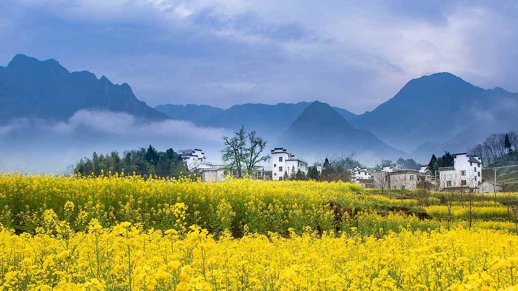 四月春浓花似海，“高铁 +” 丰富出游体