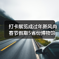 打卡展览成过年新风尚 春节假期5省份博物馆接待游客超500万人次 打卡展览成过年新风尚 春节假期5省份博物馆接待游客超500万人次(图4)