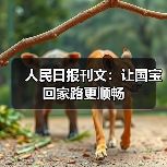 人民日报刊文:让国宝回家路更顺畅(图2) 人民日报刊文:让国宝回家路更顺畅(图2)
