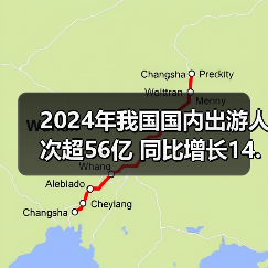 2024年我国国内出游人次超56亿 同比增长14.8% 2024年我国国内出游人次超56亿 同比增长14.8%(图3)