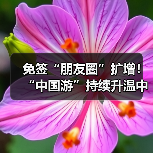 免签“朋友圈”扩增！“中国游”持续升温中(图3)
