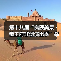 第十八届“良辰美景・恭王府非遗演出季”举办(图3) 第十八届“良辰美景・恭王府非遗演出季”举办(图3)