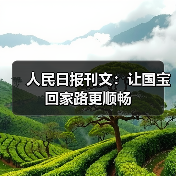 人民日报刊文:让国宝回家路更顺畅(图3) 人民日报刊文:让国宝回家路更顺畅(图3)