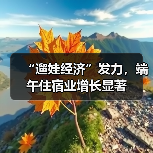 “遛娃经济”发力,端午住宿业增长显著(图2) “遛娃经济”发力,端午住宿业增长显著(图2)