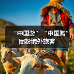 “中国游”“中国购”圈粉境外旅客