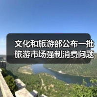 文化和旅游部公布一批旅游市场强制消费问题典型案例(图3)