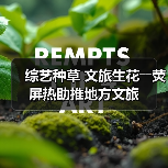 综艺种草 文旅生花――荧屏热助推地方文旅(图1)
