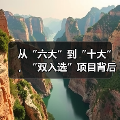 从“六大”到“十大”，“双入选”项目背后的文化密码(图4)