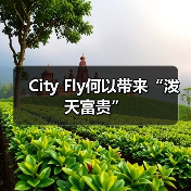 City Fly何以带来“泼天富贵”(图3)
