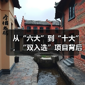 从“六大”到“十大”，“双入选”项目背后的文化密码(图2)